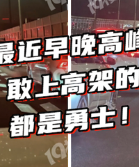 �µ���̬������