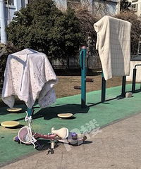 ���ǲ��ǲ�̫���°���