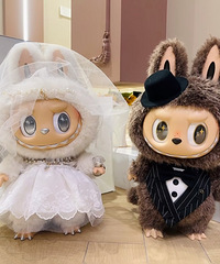 �˼��˿��Labubuѹ�����ޣ�ԭ����ģ����ڶ��򲻵��ˣ�