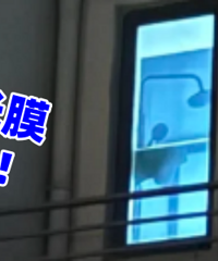 ǧ������ڹ�Ĥ��ȫ͸��...