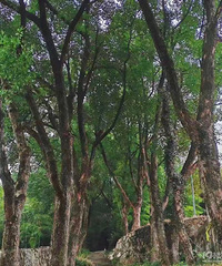 ̸����ŵ�λ�ڼ����ϱ��� ���Դ�Խ���֡���԰�����£�