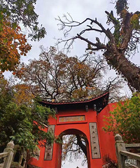 ̸����ŵ�λ�ڼ����ϱ��� ���Դ�Խ���֡���԰�����£�