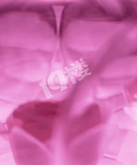 ����2֧99Ԫ��