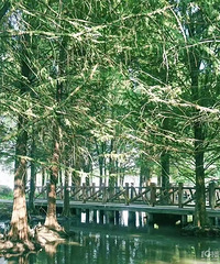 ����Ǯ�Ŀ��֣����˰���ɽ��ˮ��ɭ�� �ǳ����ʺ����գ�