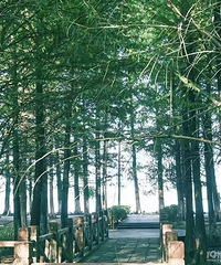 ����Ǯ�Ŀ��֣����˰���ɽ��ˮ��ɭ�� �ǳ����ʺ����գ�