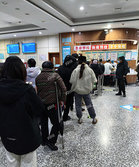 ������������Ҳ�����ˣ���Ժ����ȫ�ǿ��Է��յĺ��ӡ���