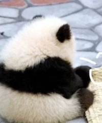 ��������ô��ô�Ѱ��������ϵ�����...