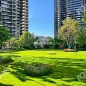 ����˶�����������