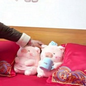 �����򸾵�ѹ������~