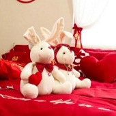 �ÿɰ�����������