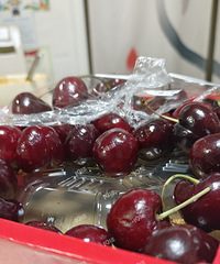 ���ڳ����ӵĺ��Ӷ�Ҫ����𣿿�����ͦ������