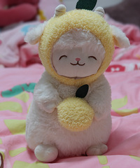 �����ǳ����������Ѿ�����һ��С����ż���о����߶��������