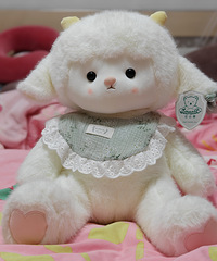 �����ǳ����������Ѿ�����һ��С����ż���о����߶��������