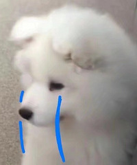 ���˵ķ�ū�Ƿ��ӿ��˶���w�ˣ�