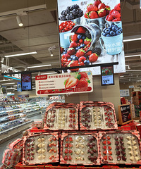 �������쿪ҵ ����ȥ��ǰ̽��һ����������˵�ᡭ��