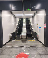 �����顿�²����������й�糵��վ��