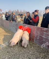 ����Ҳ��ͬ��ɱ���磡������ʦ�ֶ���̧���ˣ���������ϯ�û𰡡�