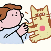 ����Ҫ���ҵ�è���ߡ�