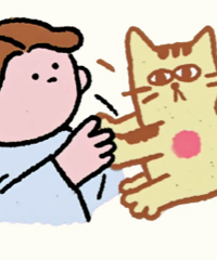 ���������̫�� ��������������è���ߡ�