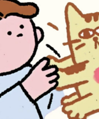 ���������̫�� ��������������è����