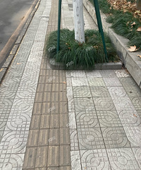 ��������·һ������������ǰ���е�����ä�� ������ô��Ƶİ���