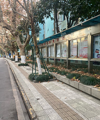 ��������·һ������������ǰ���е�����ä�� ������ô��Ƶİ���