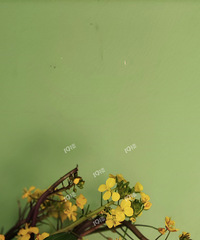 ���ˣ���ؼҵ��ϲ�̦��Ȼ��͵͵��������ֱ��ʡ���򻨵�Ǯ��