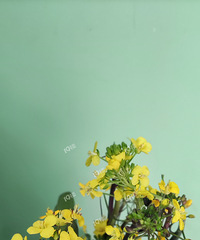 ���ˣ���ؼҵ��ϲ�̦��Ȼ��͵͵��������ֱ��ʡ���򻨵�Ǯ��