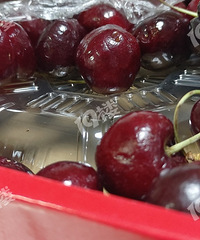 ���ڶ�����������ˣ�