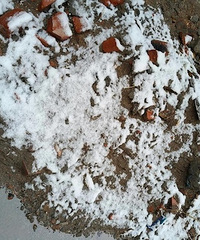 ������Ϯ�����˽���Ҫ��ѩ�ˣ���