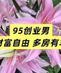 �෿�г�+��ֵ���ߣ�95��ҵ������