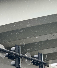 ѩ�е��´��ˣ�