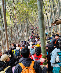 26���һ�� ���ų�ѩ�����������10���������ɽ