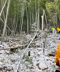 26���һ�� ���ų�ѩ�����������10���������ɽ