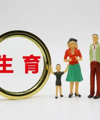 ���ڳ����ʻ������Ҿ����������⼸�㣬�Ϳ�����