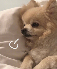 [�����߿�]�߷����򷿻��˼�ͥ��ϵ��������Ϊ���³���...