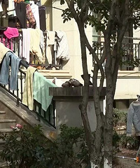 �����У�������Ƿ���������С���ļ���ҵ��������ҵ���ˣ�