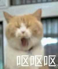 ����װ�ޣ��������׵�û���ˣ����ҼҴ�ҡ��ڴ�������...