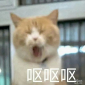 װ�޹��˴������Ҽ���