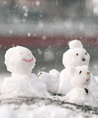 ��ʦ��ѧ��ȥ�ٳ���ѩ��תͷ���мҳ����ɺ���û��ñ�ӣ��ûؽ���