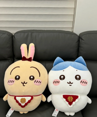 ������Ҳ�뵱ѹ�����ޣ���͸��ҿɰ�����