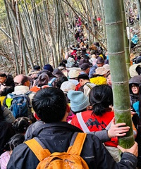 ���ų�ѩ���� �����10���������ɽ