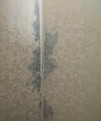 [ǧ�����]��ǽֽ�Ķ��ַ���©ˮҪ�������ŷ���...