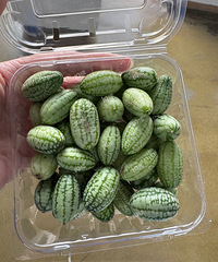 ǧ��������Ĵָ���ϣ���ֱ�ˣ��ѳԵ�һ���Ѿ���