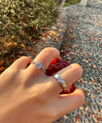 �����õĵ�����䣬�����Ƕ���Ϊ����ģ�