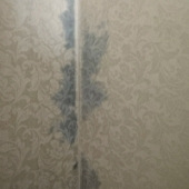 ��Ҫ����ǽֽ�Ķ��ַ�