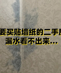 ��Ҫ��ǽֽ�Ķ��ַ� ©ˮ...