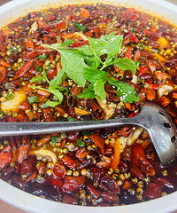 [��ʳ]������Ͷ������ģ�������Ҵ��˹��е㶫����