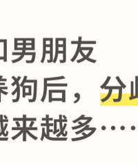 ������͸���� �������������ʺϽ�飿