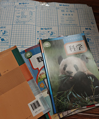 ��ĩ������ ��ʼ����ѧ�ڵĿΣ��ֵ��˰���Ƥʱ��